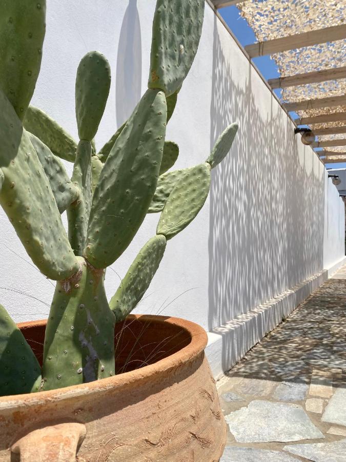 Fikas Hotel Naxos City エクステリア 写真